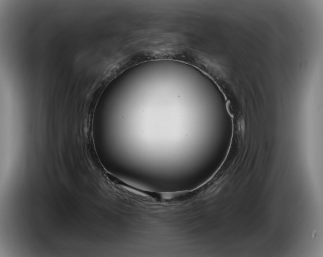 X0000085791300200703301442