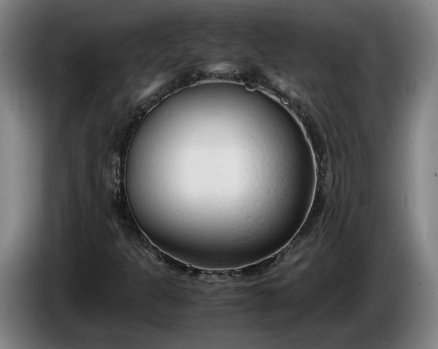 X0000085791301200703301442