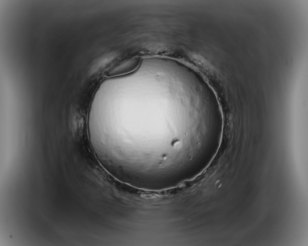 X0000085791302200703301442
