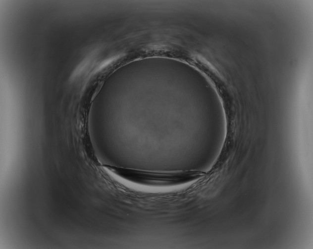 X0000085791303200703301442