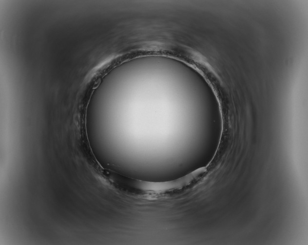 X0000085791304200703301442