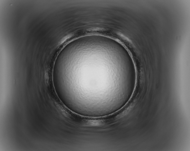 X0000085791305200703301442