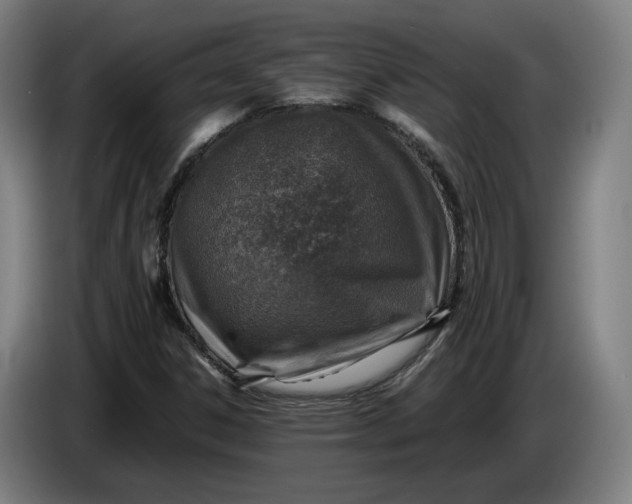 X0000085791306200703301442