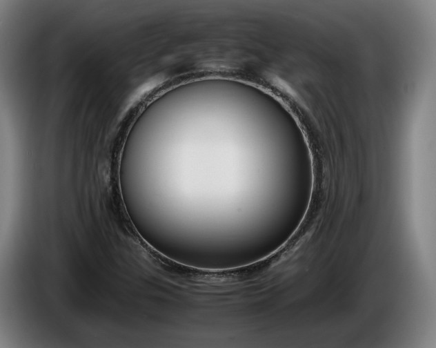 X0000085791307200703301442