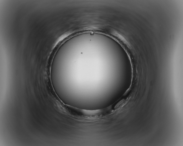 X0000085791308200703301442