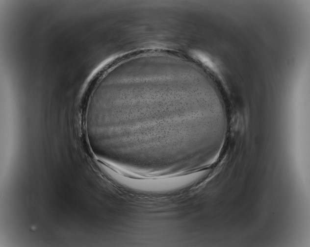 X0000085791310200703301442