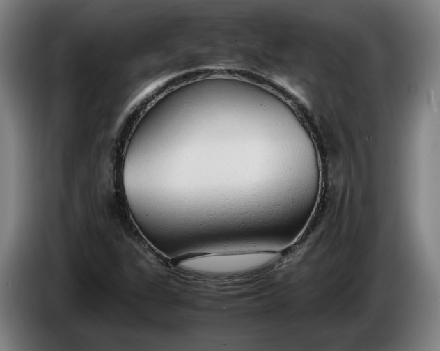 X0000085791311200703301442
