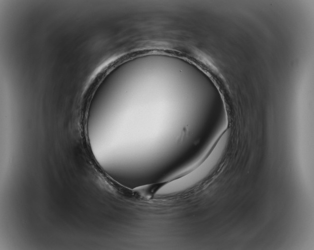 X0000085791312200703301442