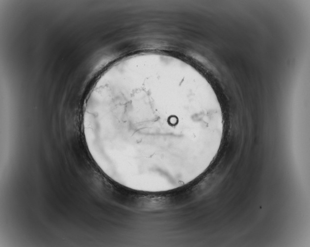 X0000085791314200703301442