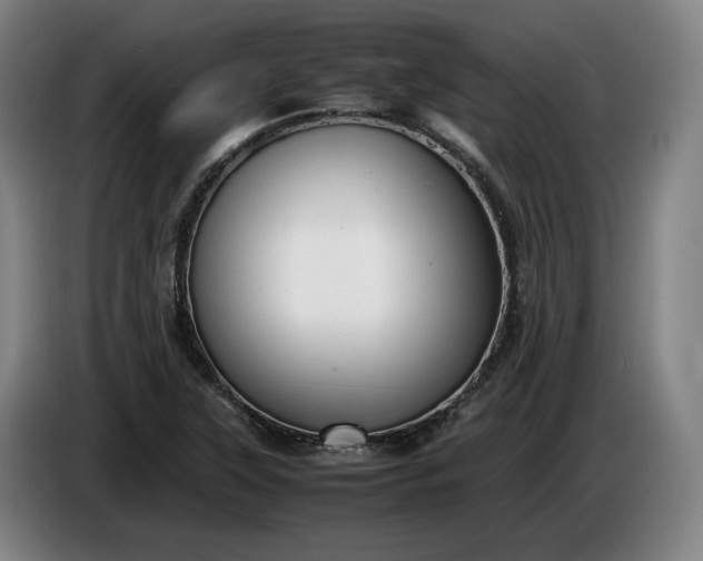 X0000085791315200703301442