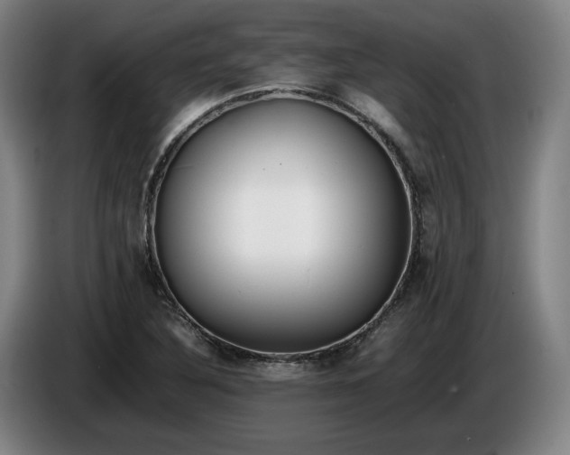 X0000085791316200703301442