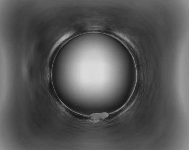 X0000085791317200703301443