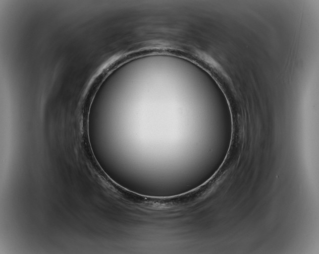 X0000085791318200703301443