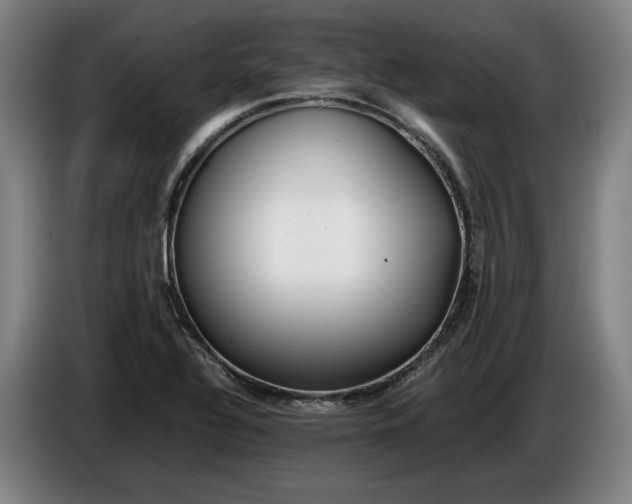X0000085791320200703301443