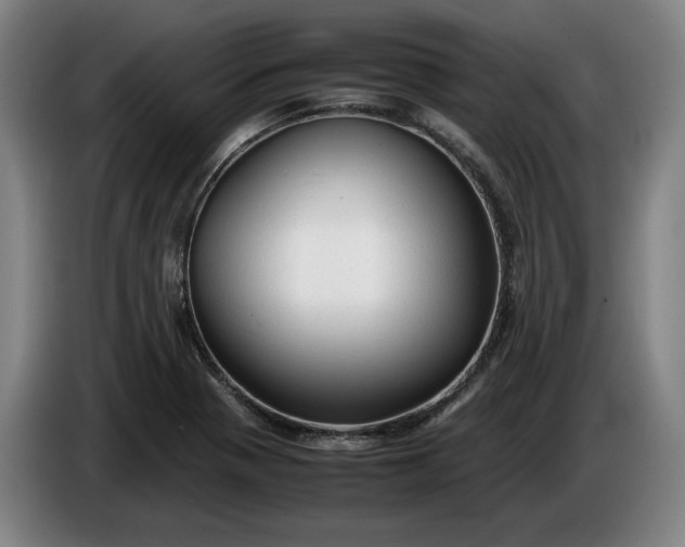 X0000085791321200703301443