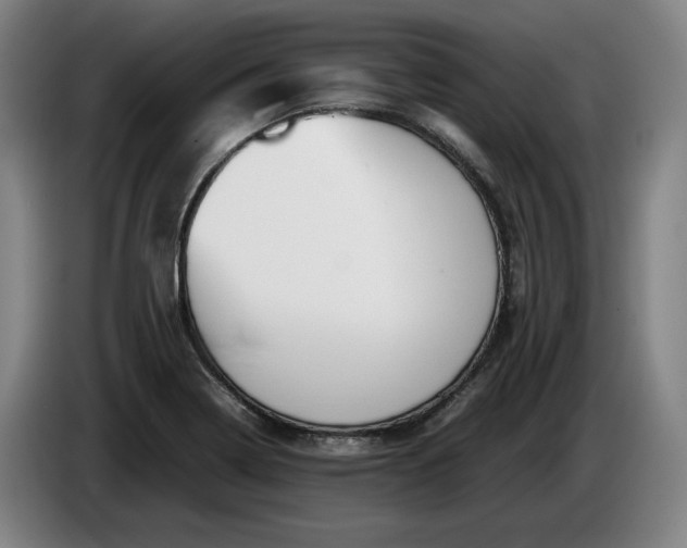 X0000085791322200703301443