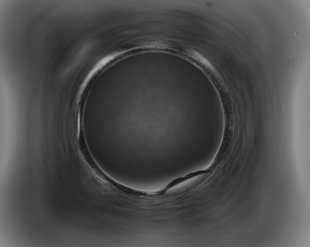 X0000085791323200703301443