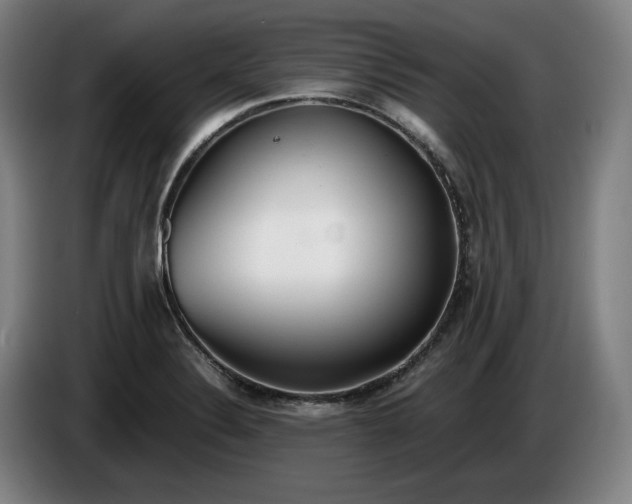 X0000085791324200703301443