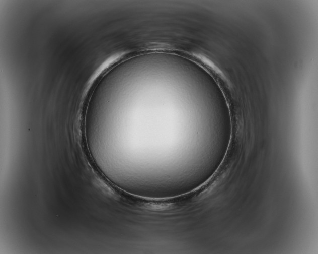 X0000085791325200703301443