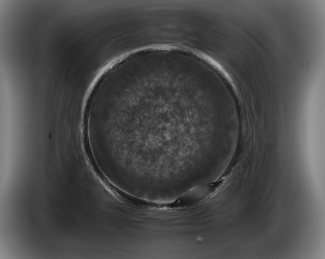 X0000085791327200703301443