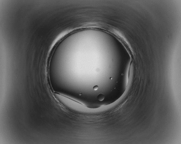 X0000085791328200703301443