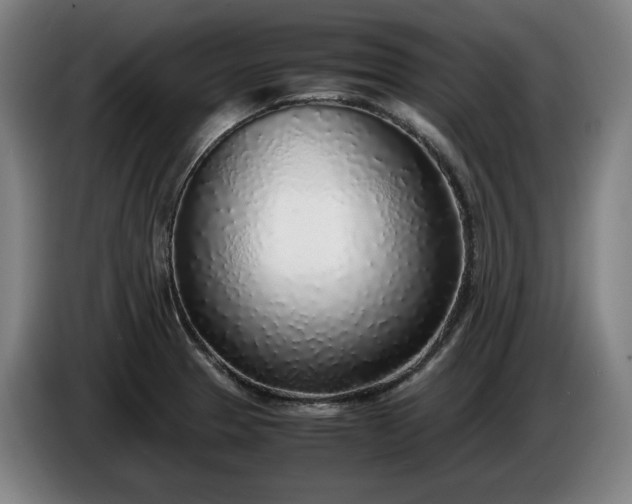 X0000085791329200703301443
