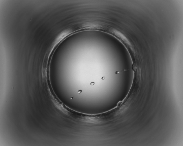 X0000085791330200703301443