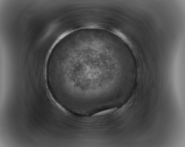 X0000085791331200703301443