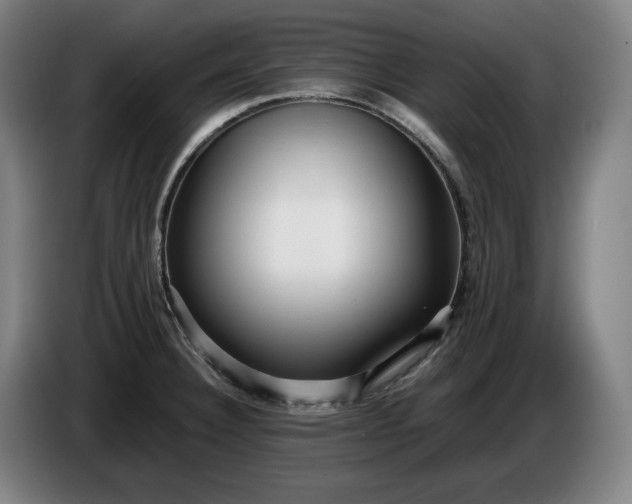 X0000085791332200703301443