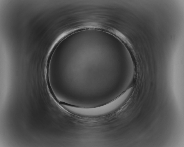 X0000085791334200703301443