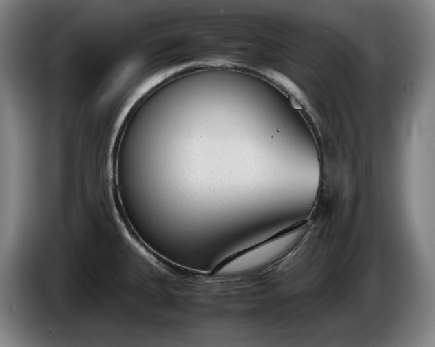 X0000085791335200703301443