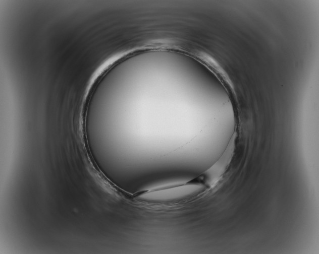 X0000085791336200703301443