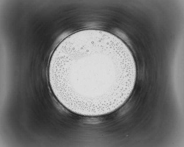 X0000085791338200703301443