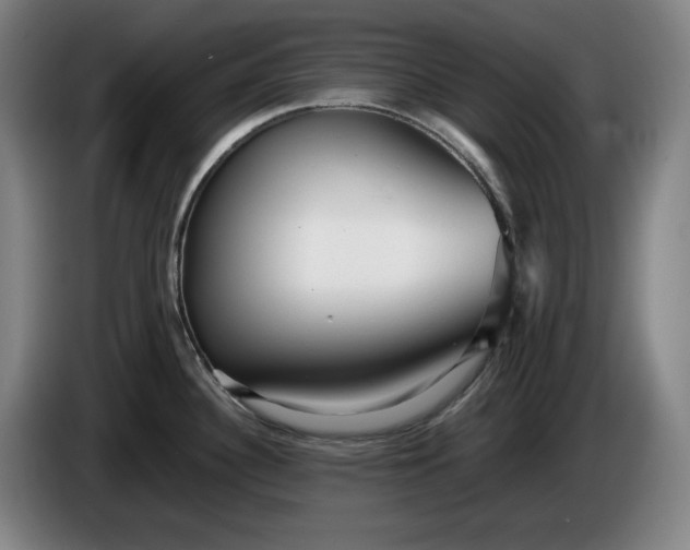 X0000085791340200703301443