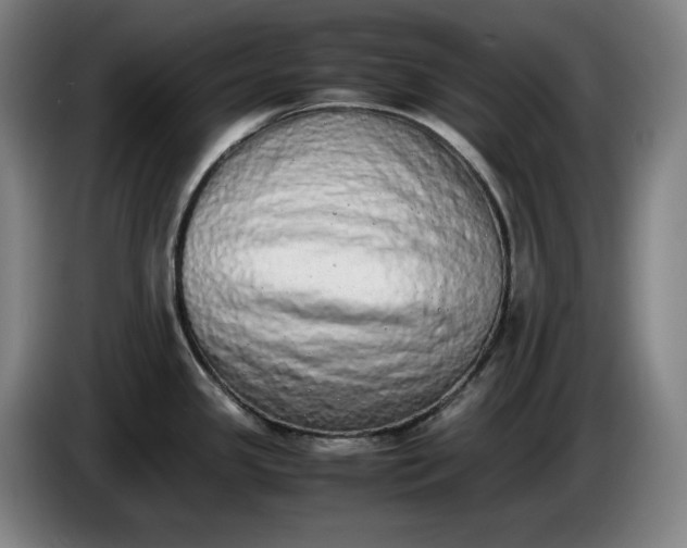X0000085791341200703301443