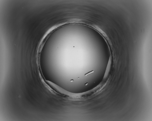 X0000085791342200703301443