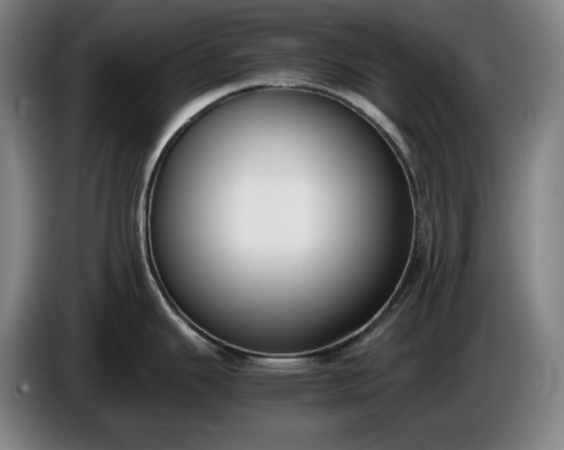 X0000085791343200703301443