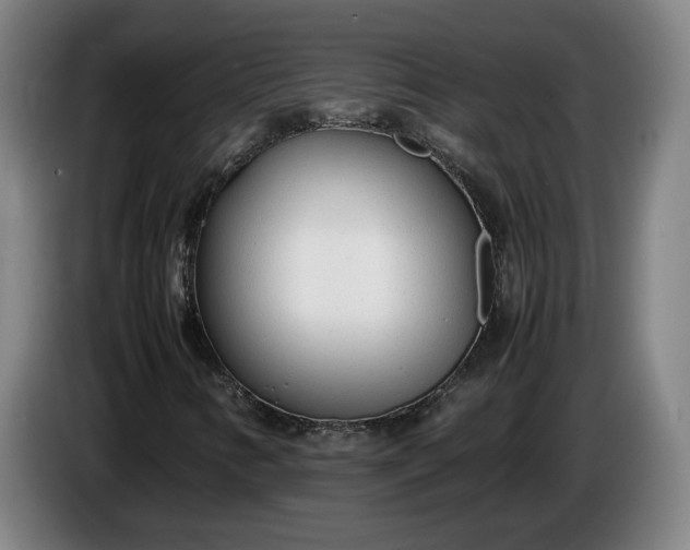 X0000085791346200703301442