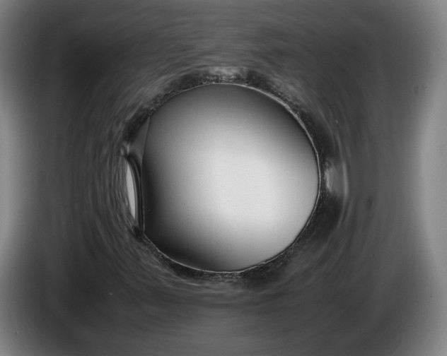 X0000085791347200703301442