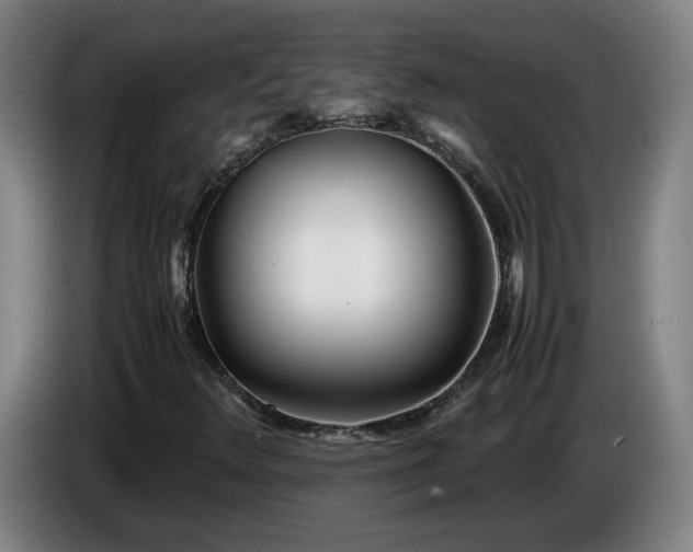 X0000085791348200703301442