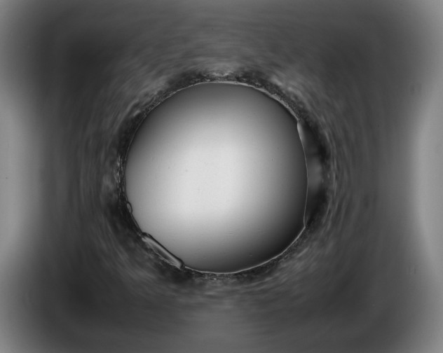 X0000085791349200703301442