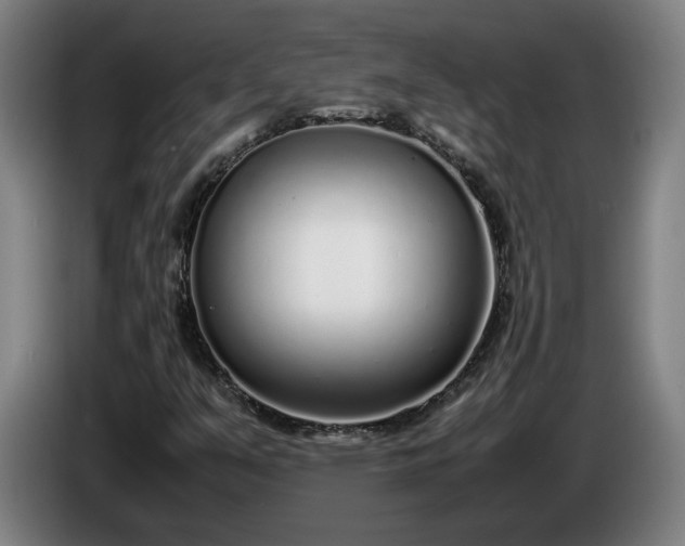 X0000085791351200703301442