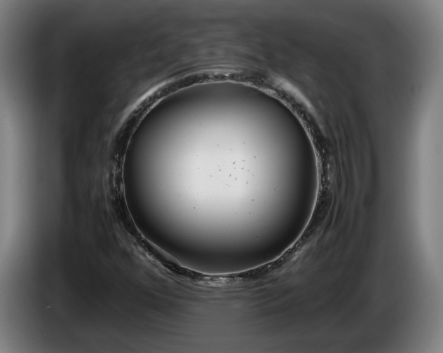 X0000085791352200703301442