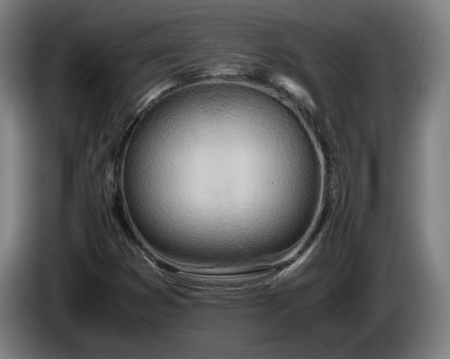 X0000085791353200703301442