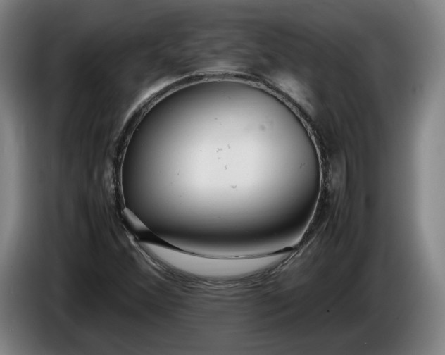 X0000085791356200703301442