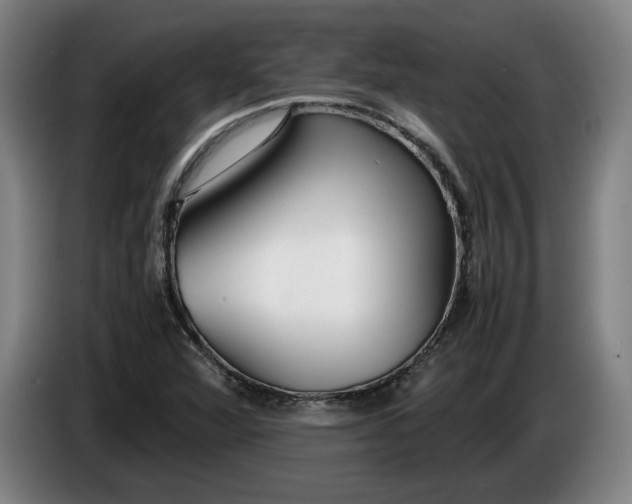X0000085791360200703301442