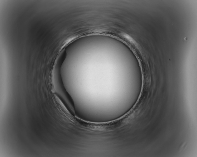 X0000085791361200703301442