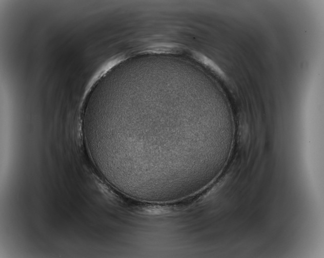 X0000085791362200703301442