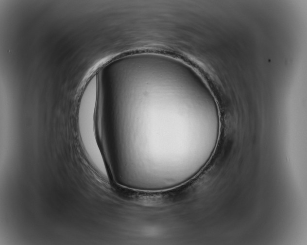 X0000085791363200703301442