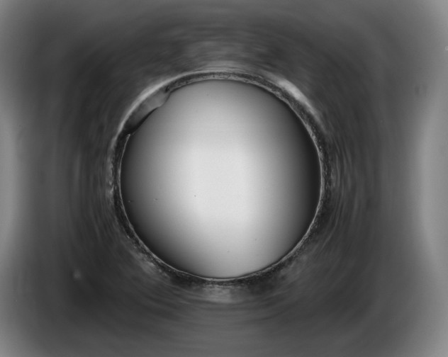 X0000085791364200703301442